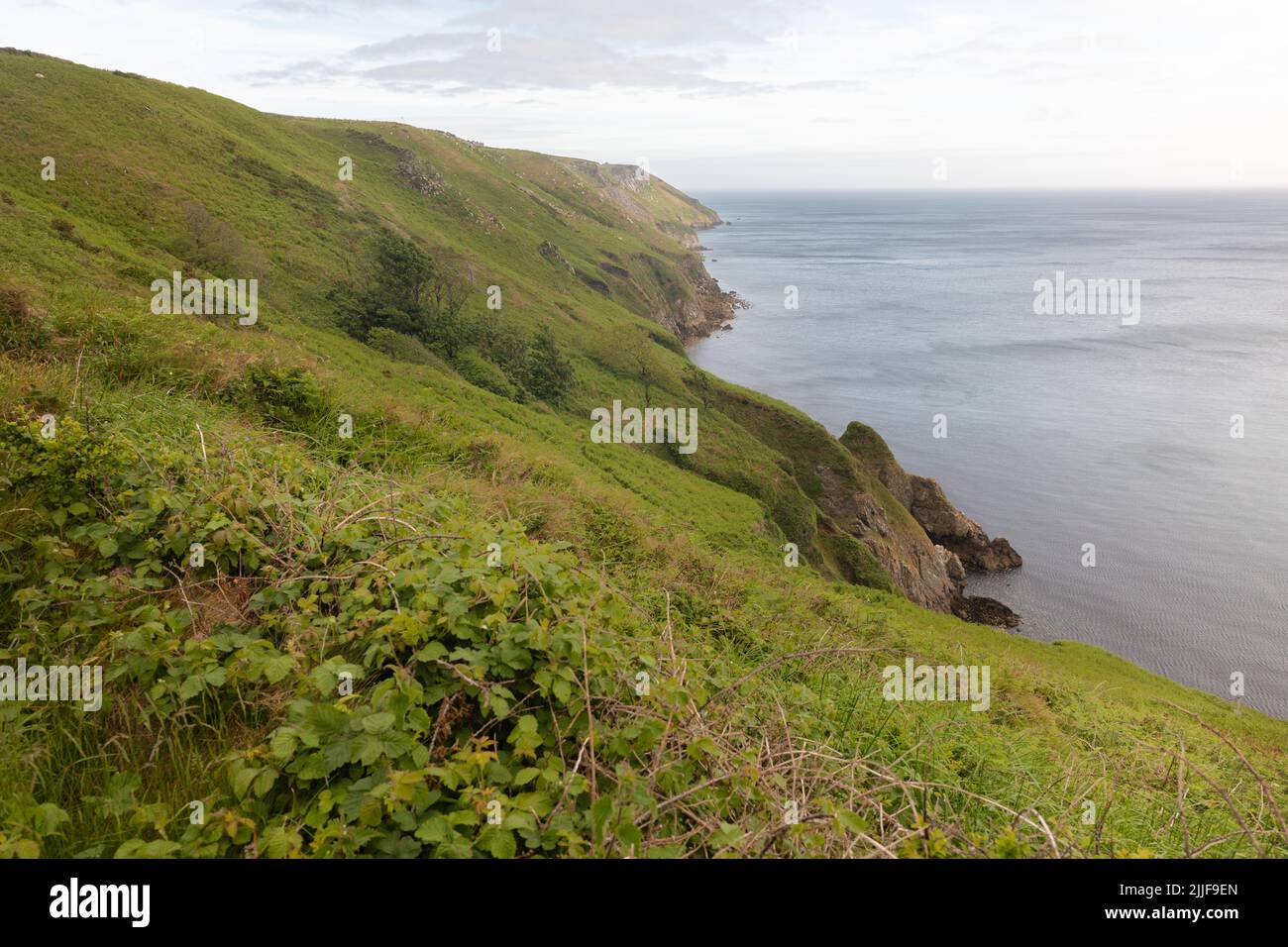 Lundy landscape, Devon, UK Stock Photo