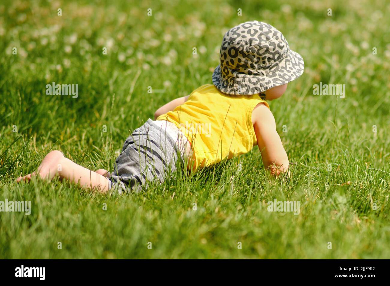 Happy toddler baby boy crawls on green grass in nature. A child in shorts, yellow t-shirt and hat plays in the summer in the park Stock Photo