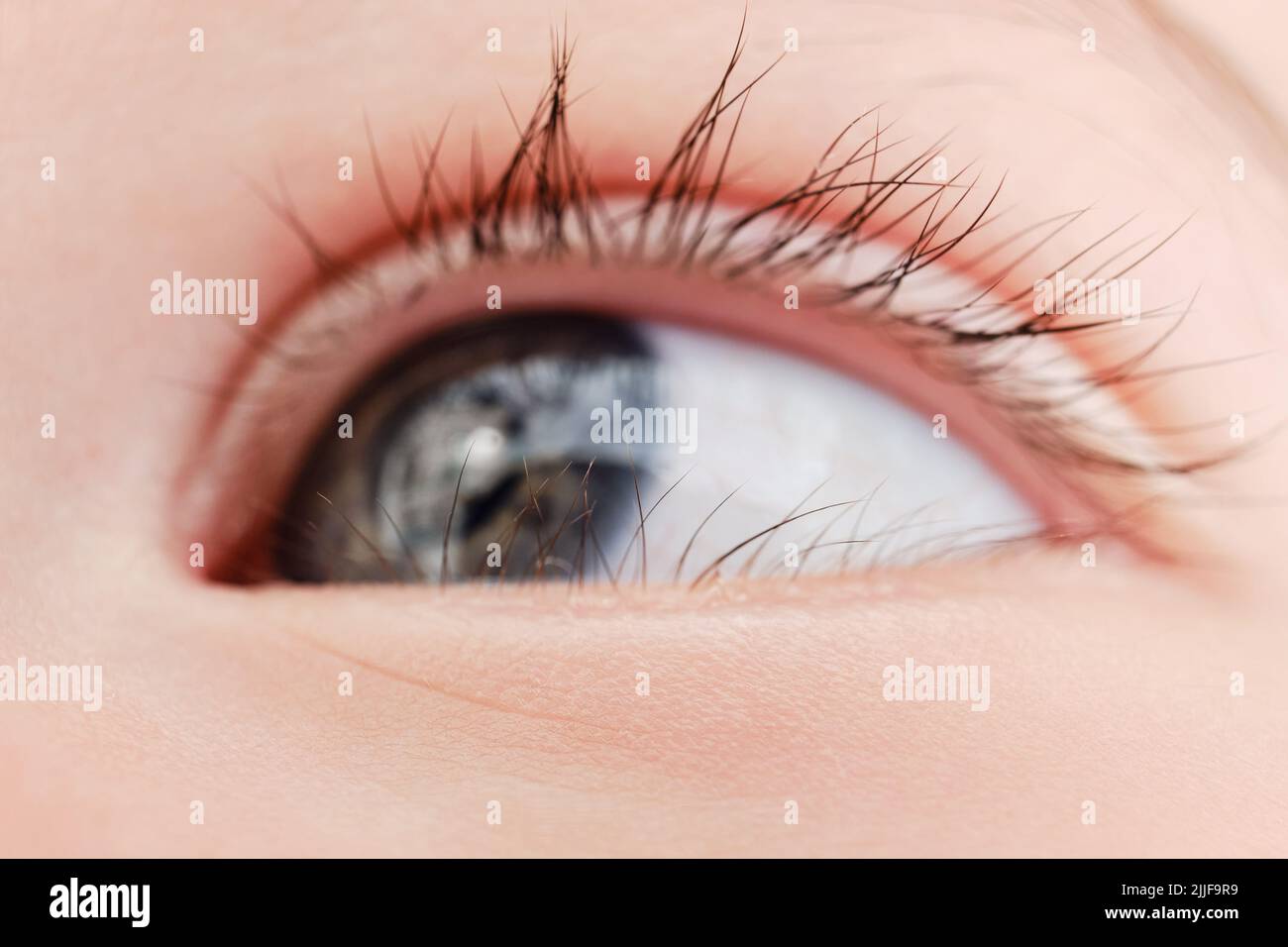 Closeup of baby eye and eyelashes age one year, macro photo of the