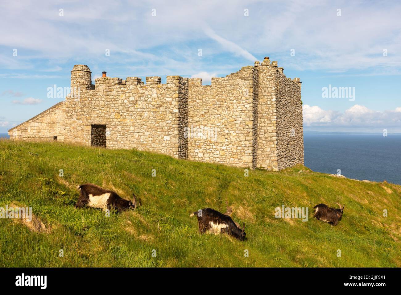 Marisco castle on the isle of Lundy, Bristol Channel. Stock Photo
