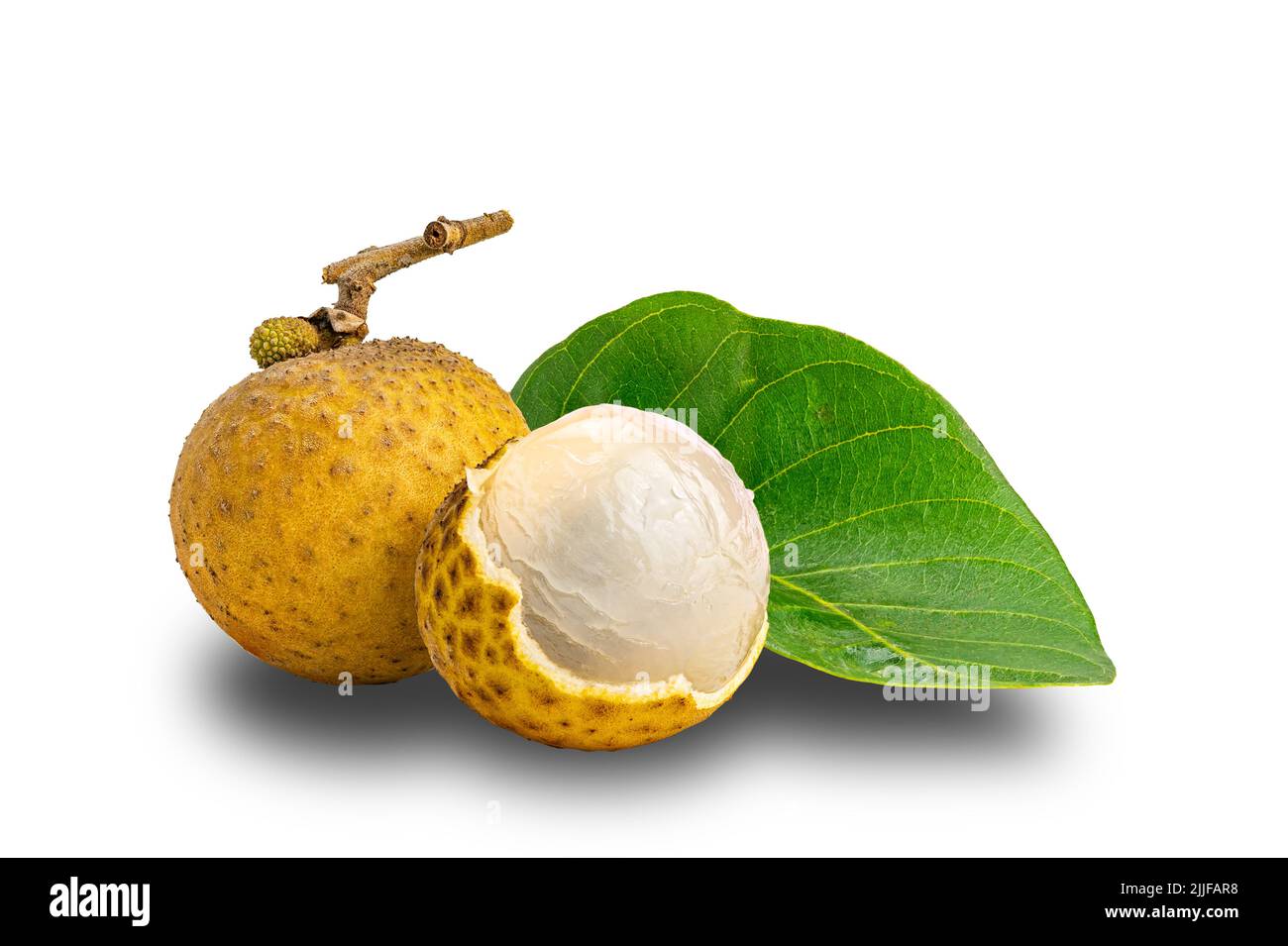 Longan fruit a whole and a half peeled with green leaf isolated on white background with clipping path. Stock Photo