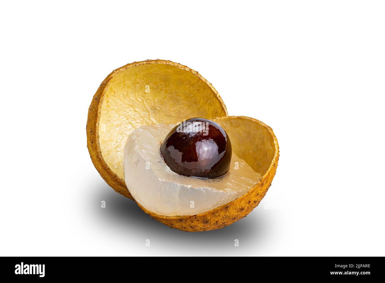 Peeled juicy fresh longan with translucent pulp, black seed and peel isolated on white background with clipping path. Stock Photo
