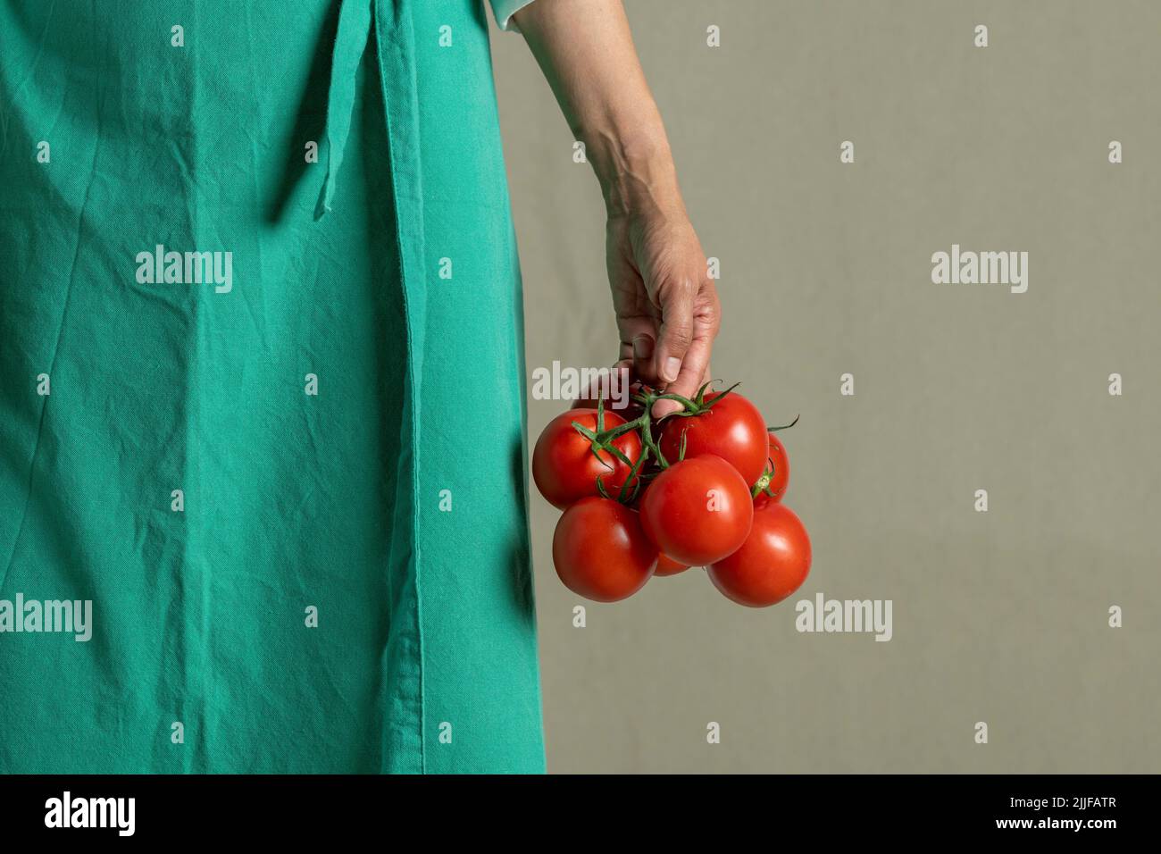 Woman holding bunch of vine tomatoes - stock photo Stock Photo