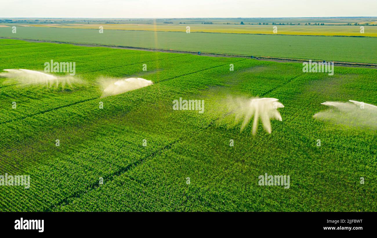 Aerial view of irrigation system, water jet rain guns sprinklers, on