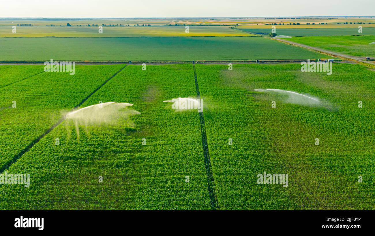 Aerial view of irrigation system, water jet rain guns sprinklers, on