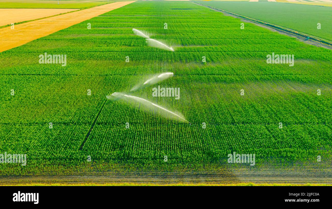 Aerial view of irrigation system, water jet rain guns sprinklers, on