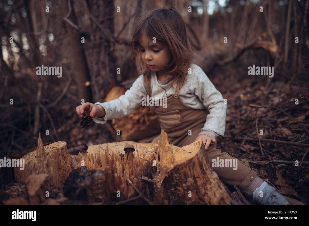 Little girl exploring nature outdoors in autumn forest Stock Photo - Alamy