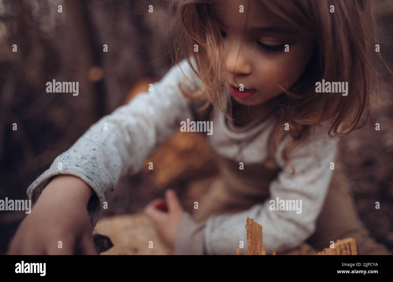 Kid exploring in forest hi-res stock photography and images - Alamy