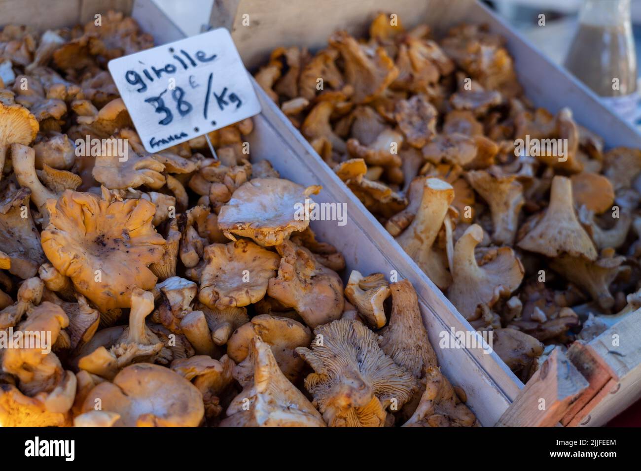 Girolle mushrooms, Foix, department of Ariège, Occitanie, Pyrenean mountain range, France Stock Photo