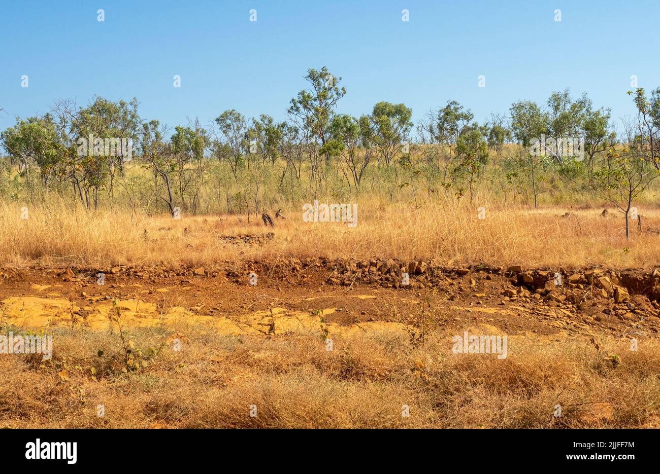 Savanna woodlands and Pindan soil along the Gibb River Road Kimberley Western Australia. Stock Photo