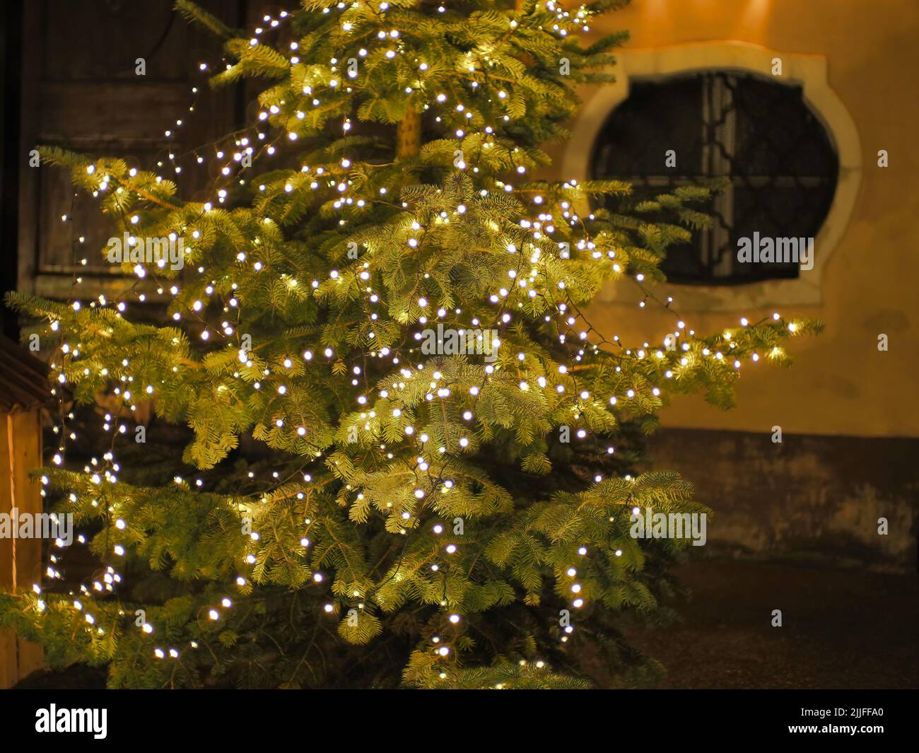 A fir decorated with the light garland outside Stock Photo