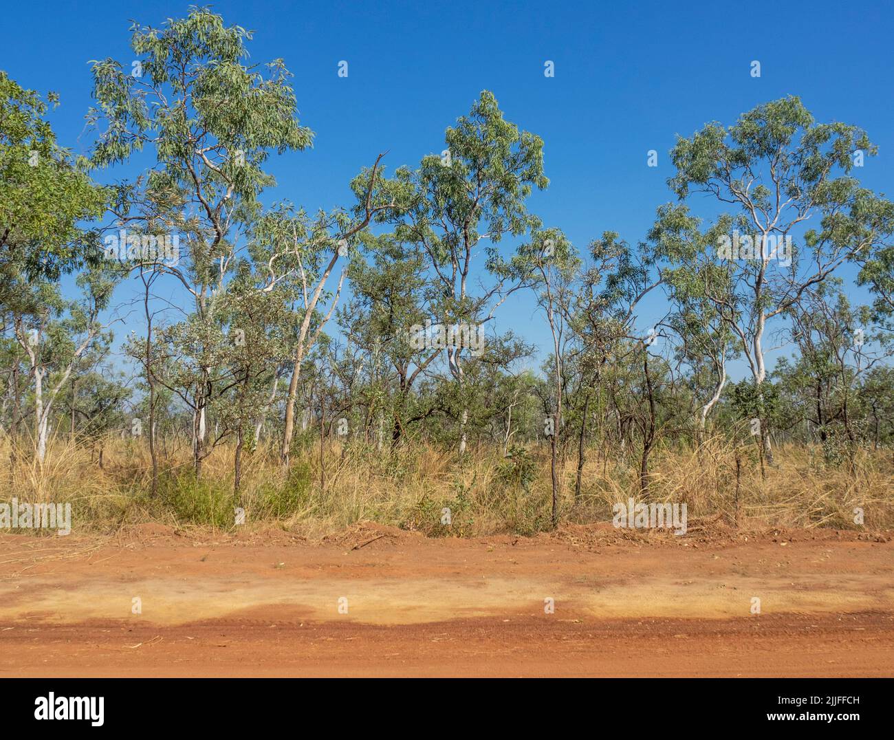 Savanna woodlands and Pindan soil along the Gibb River Road Kimberley Western Australia. Stock Photo
