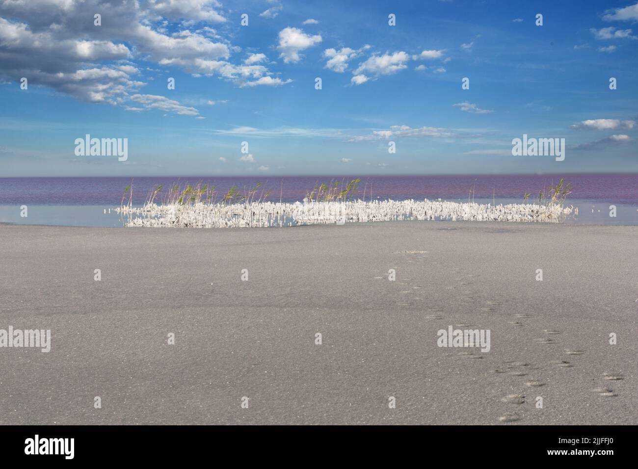 Dried salt lake layer of salt, blue sky and clouds Stock Photo Alamy