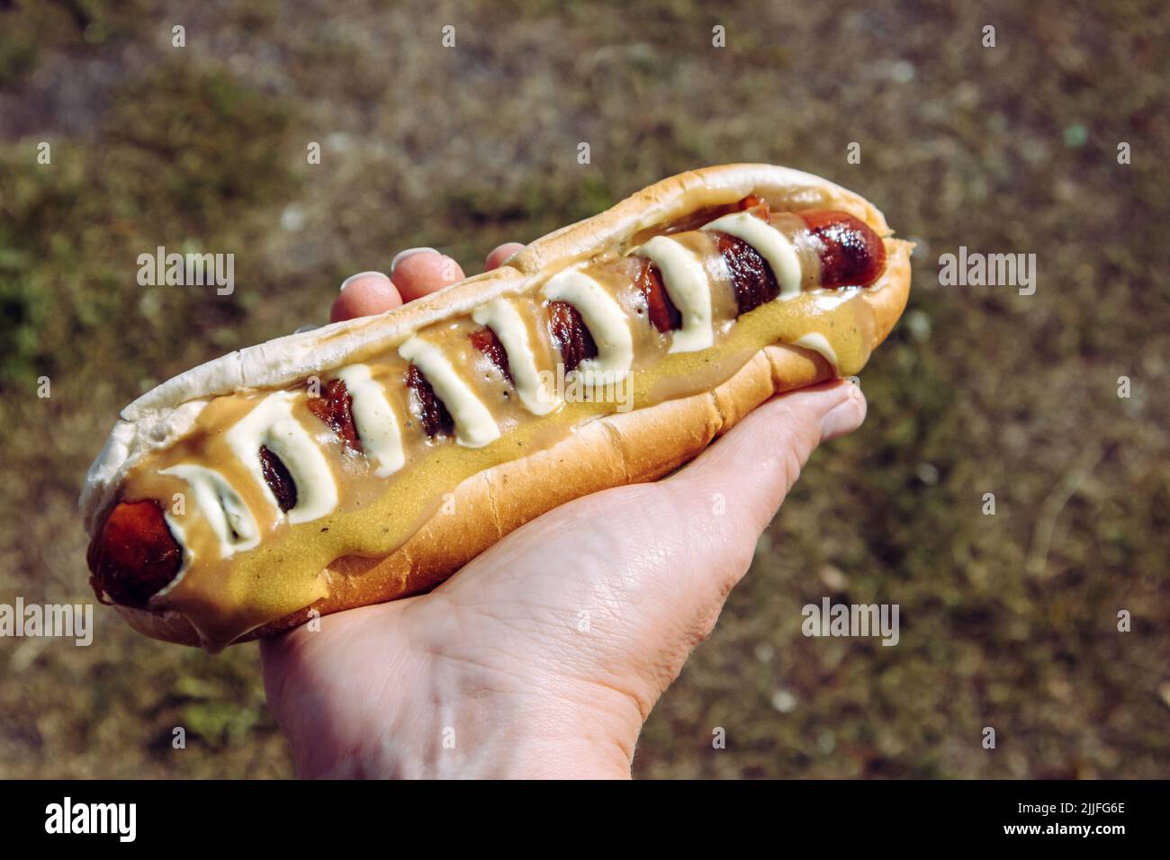 Man hand holding tasty local Icelandic food hot dog called pylsur outdoors in nature. Also called Pylsa or Pulsa. Stock Photo
