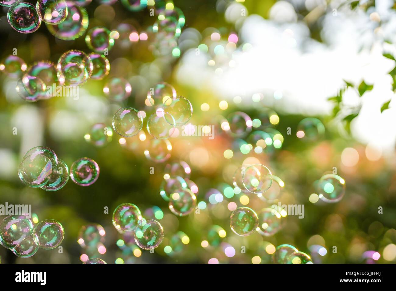 The floating soap bubbles in the garden on bokeh background Stock Photo ...