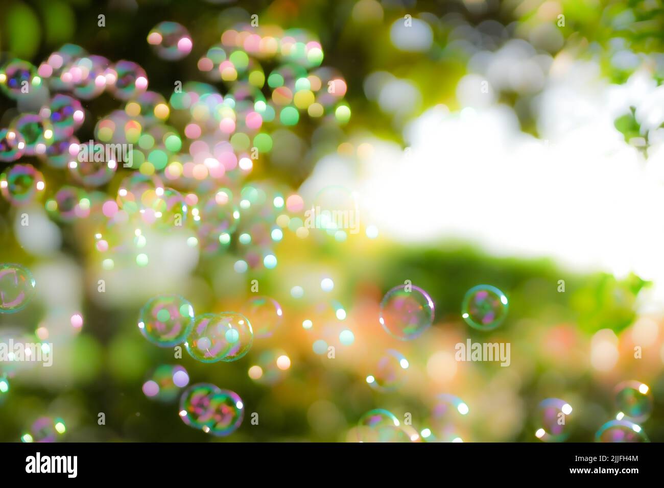 The floating soap bubbles in the garden on bokeh background Stock Photo ...
