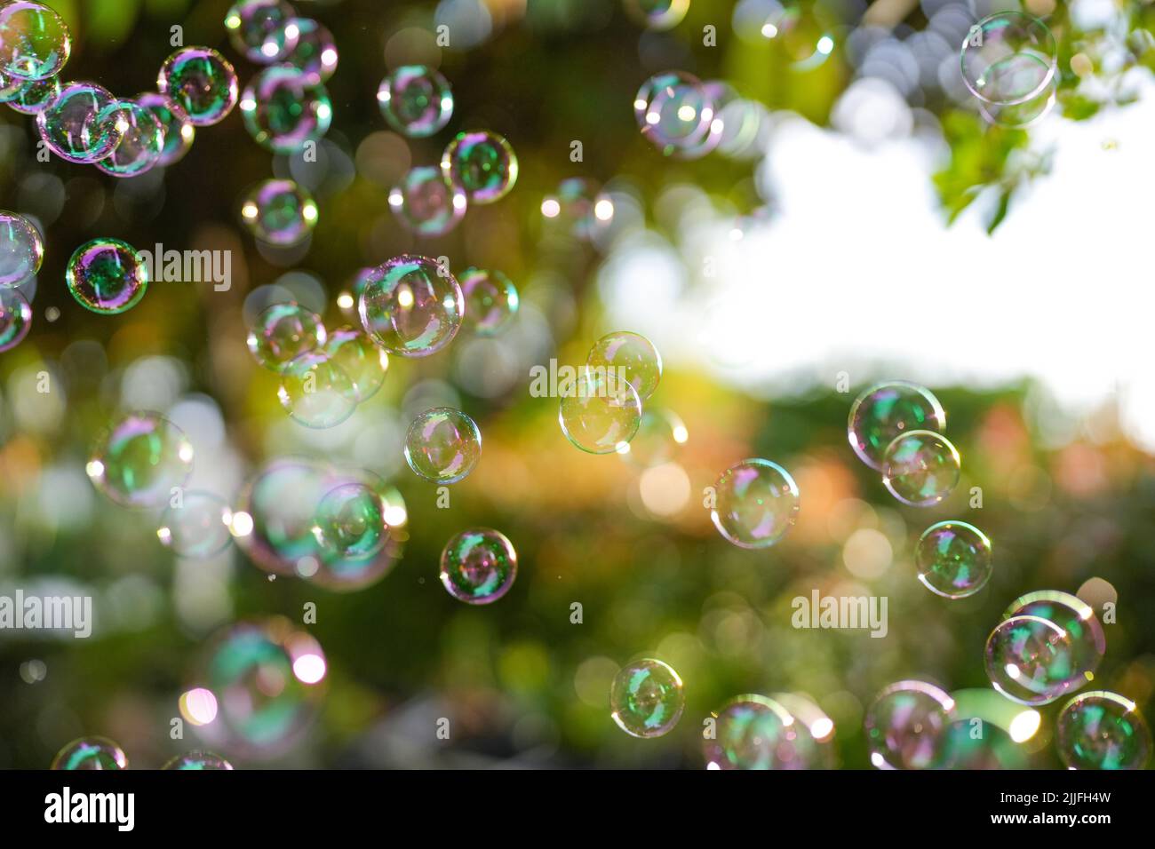 The floating soap bubbles in the garden on bokeh background Stock Photo ...