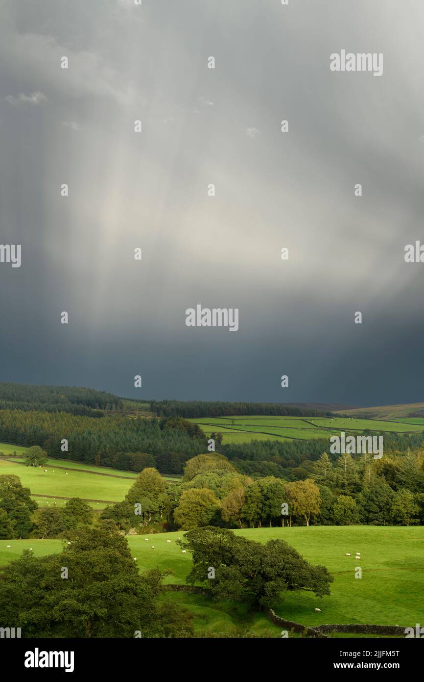 Scenic rural Wharfedale (atmospheric lighting, ethereal shafts of sun stream down, cloudy after rain, woodland & farmland) - Yorkshire, England, UK. Stock Photo