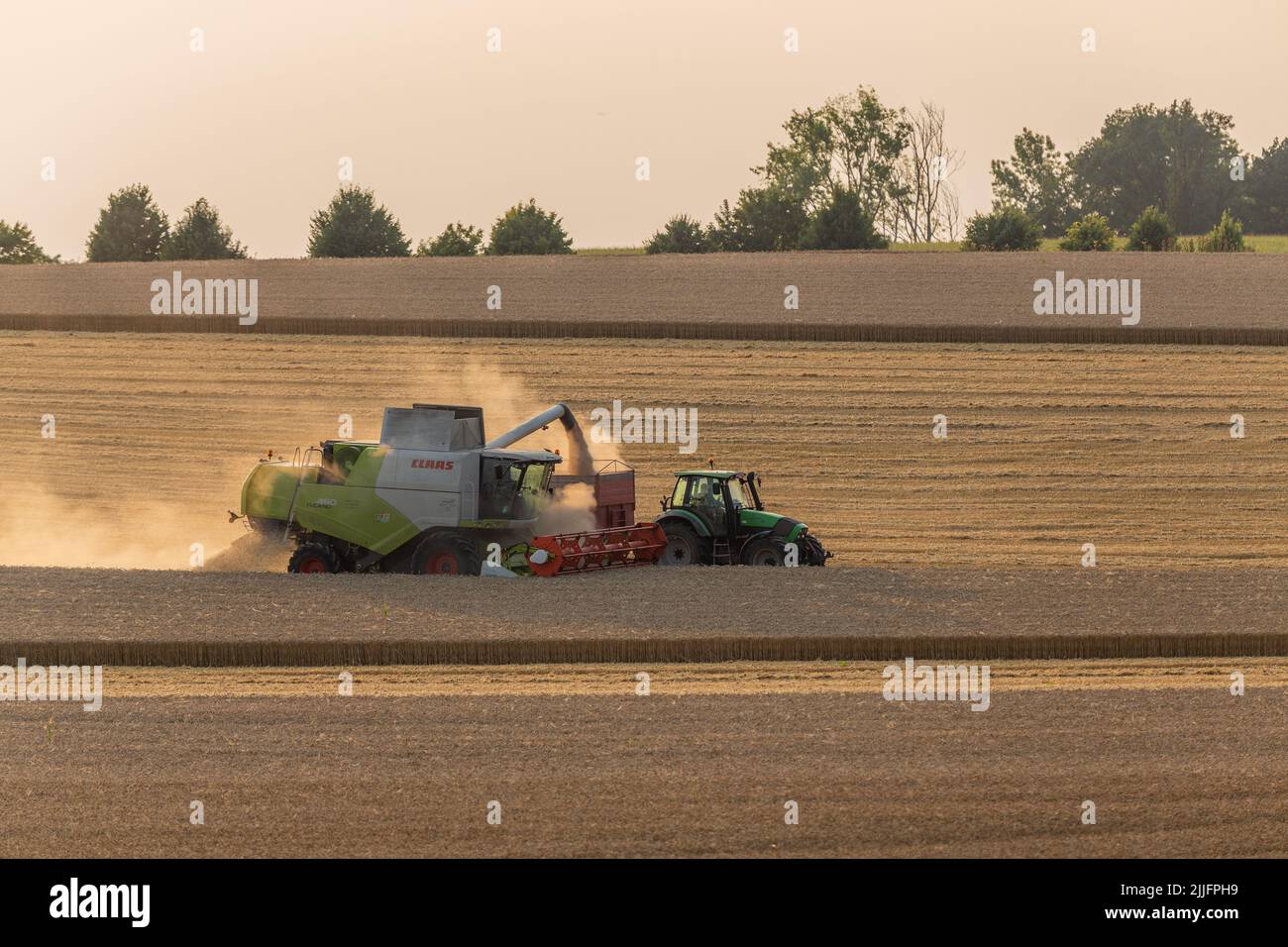 Wheat harvest in progress using combine harvesters. Setting sun