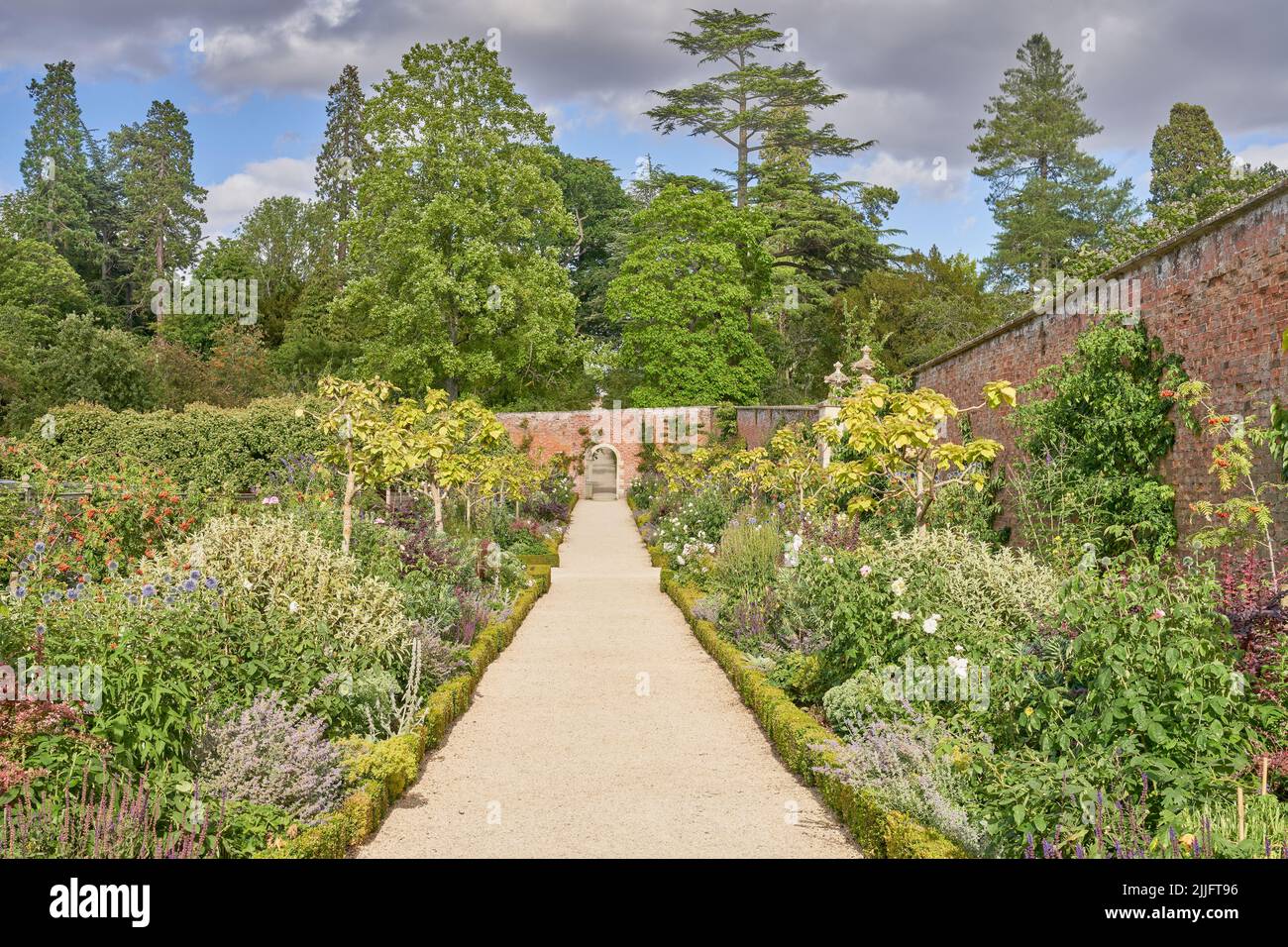 Walled garden with gravel path and traditional herbacious perennial planting in summer Stock Photo
