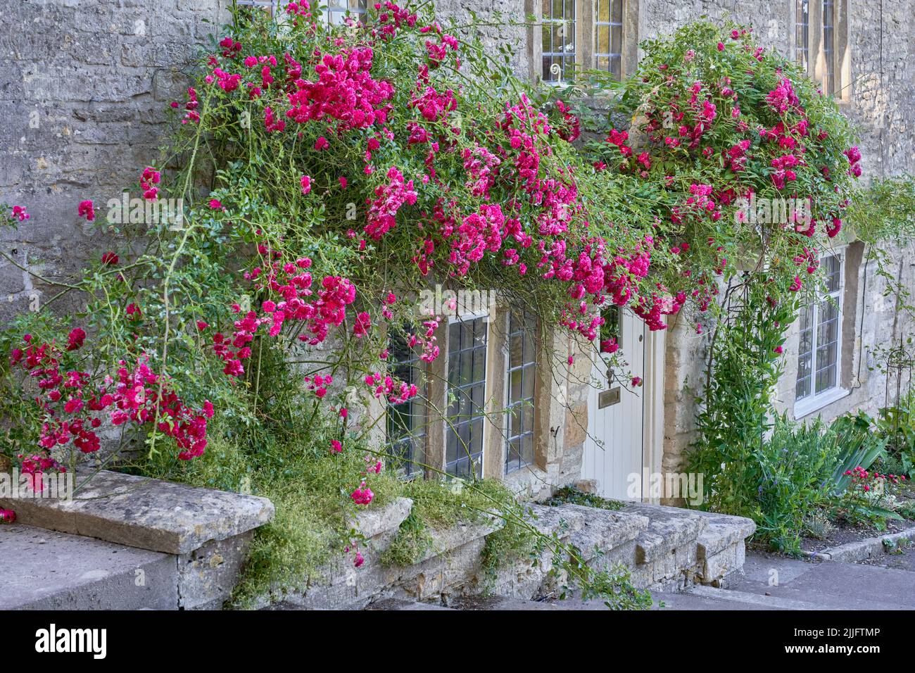 Pink roses groiwng over thewall of a traditional stone cottage in the Cotswolds Stock Photo