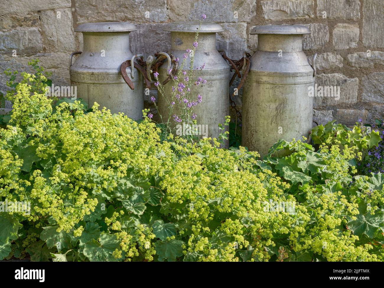 Traditional English Milk Churns agains a stone wall in a Cotswolds garden Stock Photo