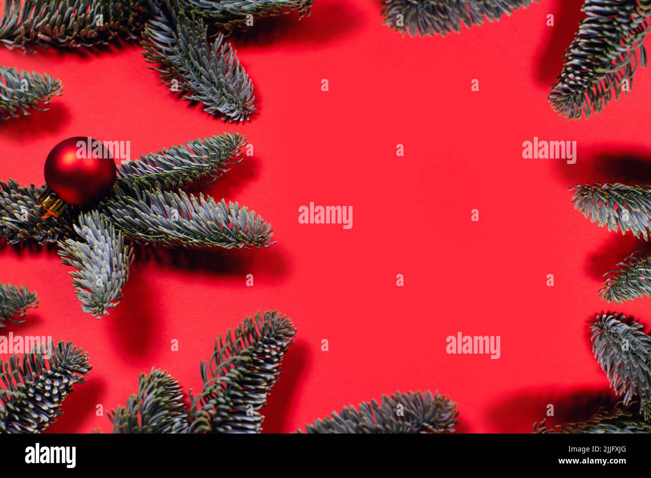 Photo with red Christmas balls on fir branches. Color background with space for text in center. Stock Photo