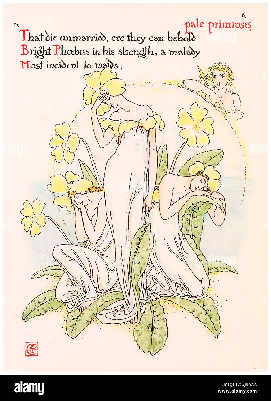 Pale Primroses (Phoebus) from the illustrated book 'Flowers from Shakespeare's garden', illustration by Walter Crane, 1909 Stock Photo