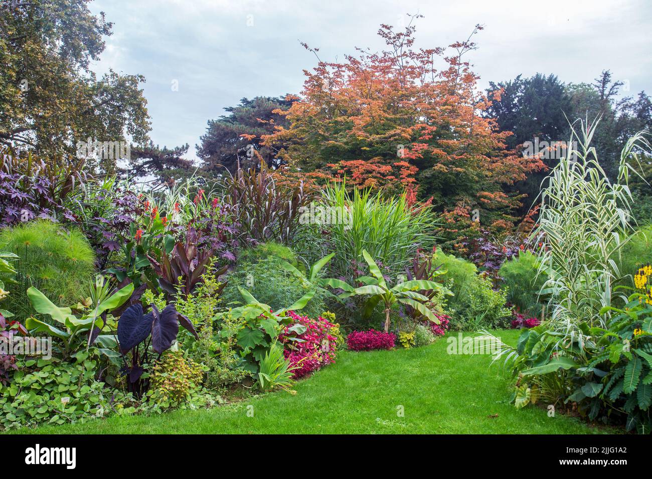 Tall perennials hi-res stock photography and images - Alamy