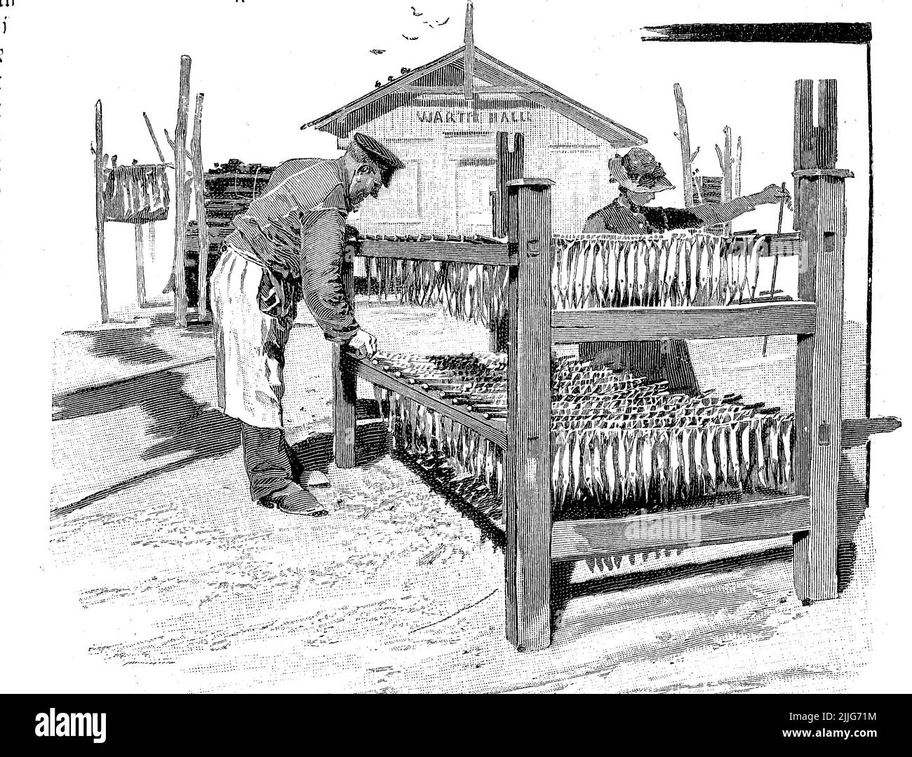 Fischerei, Verarbeitung von Fischen, hier das Trocknen vor dem Räuchern, 1880, Kiel, Deutschland  /  Fishing, processing of fish, here drying before smoking, 1880, Kiel, Germany, Historisch, historical, digital improved reproduction of an original from the 19th century / digital restaurierte Reproduktion einer Originalvorlage aus dem 19. Jahrhundert, genaues Originaldatum nicht bekannt, Stock Photo