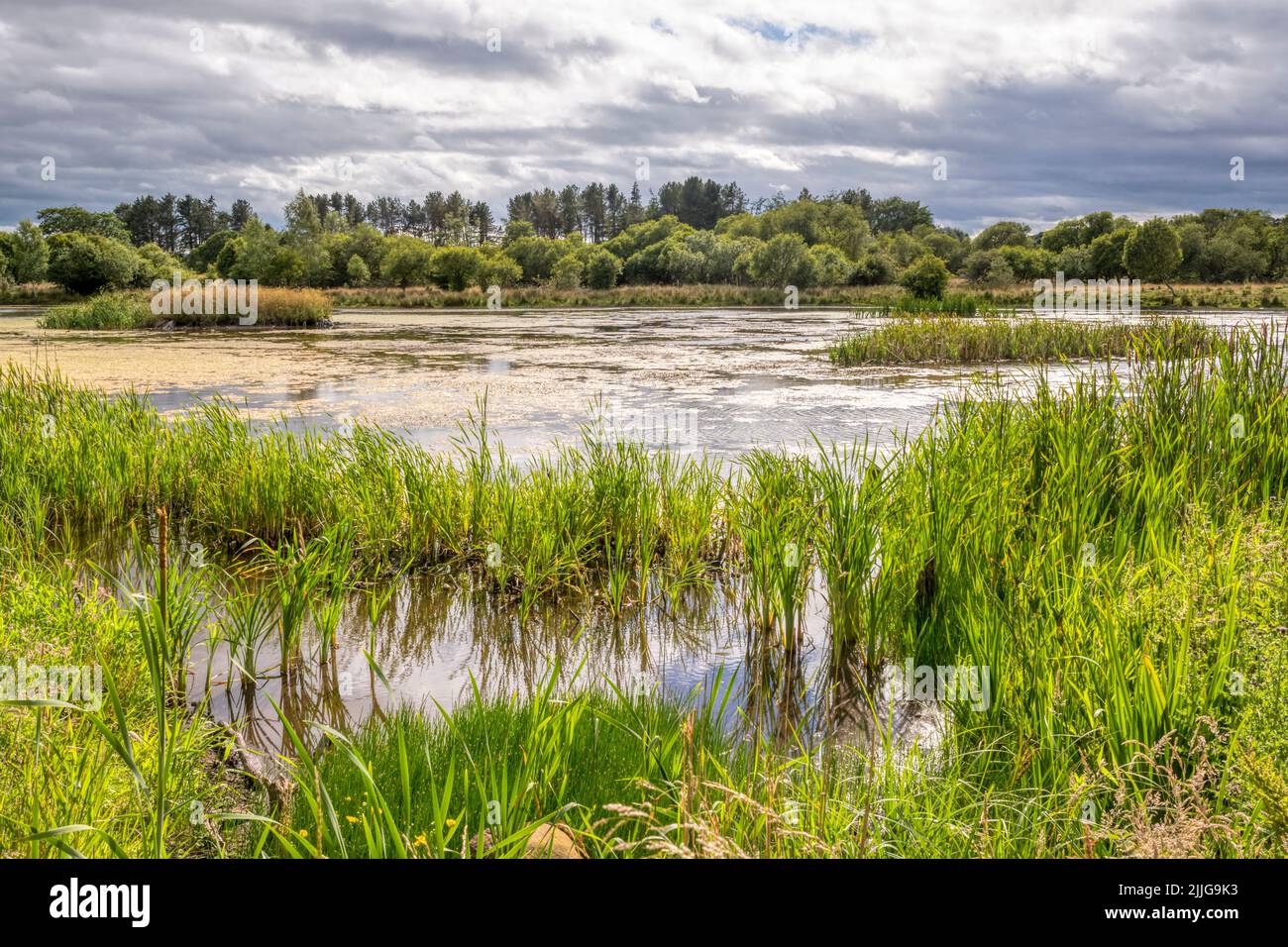 Morton Lochs at the Tentsmuir National Nature Reserve in Fife, Scotland. Stock Photo