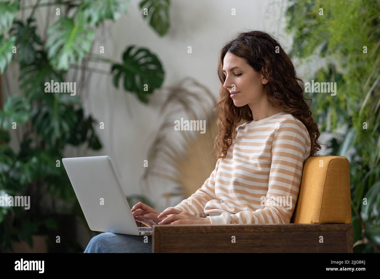 Freelancer young woman sitting in armchair in greenhouse, working on laptop surrounded by houseplant Stock Photo