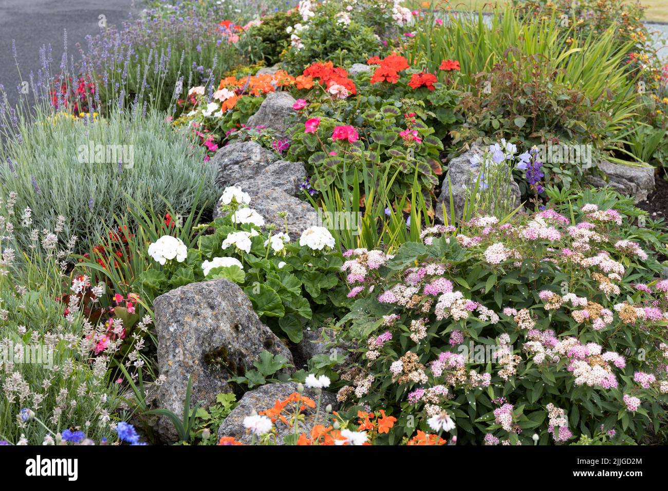 Flower rockery with lobelia, busy lizzie, night scented stock, candytuft, cornflowers, begonias, lavender, geranium, canterbury bell, spirea Stock Photo