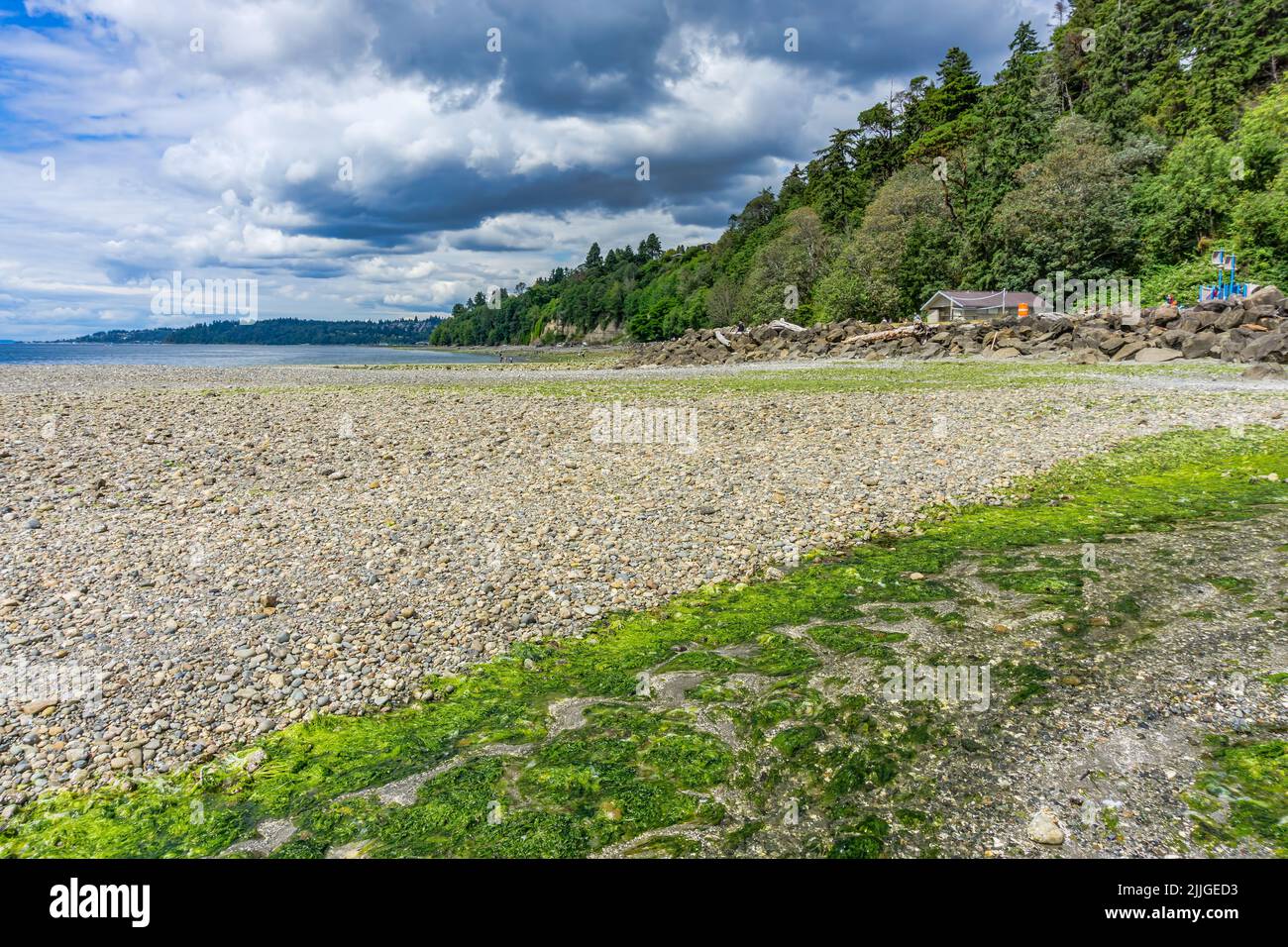 A landscape phot of Saltwater State Park in Des Moines, Washington. Stock Photo
