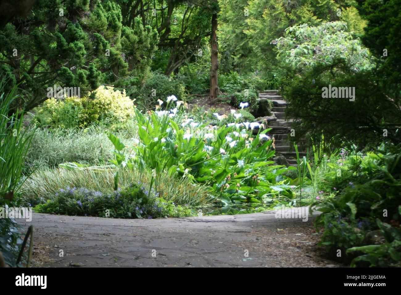 Highjdown Gardens, West Sussex Stock Photo
