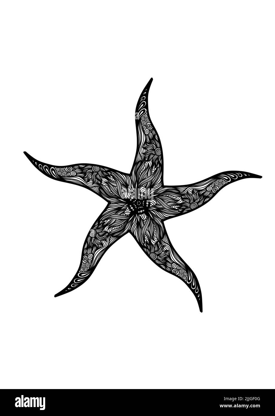 A Black and white line art  drawing of a star fish for background, logo and other illustration needs Stock Photo