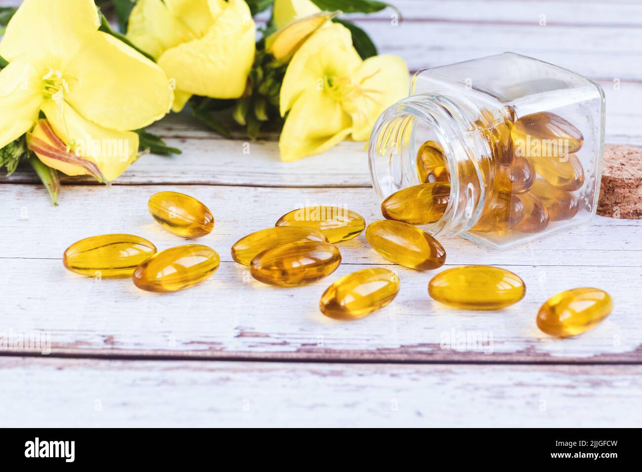 Evening primrose oil softgels, herbal medicine supplement, flowers of