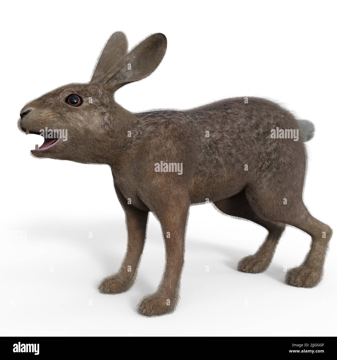 3d-illustration of an isolated talking rabbit animal pet Stock Photo ...