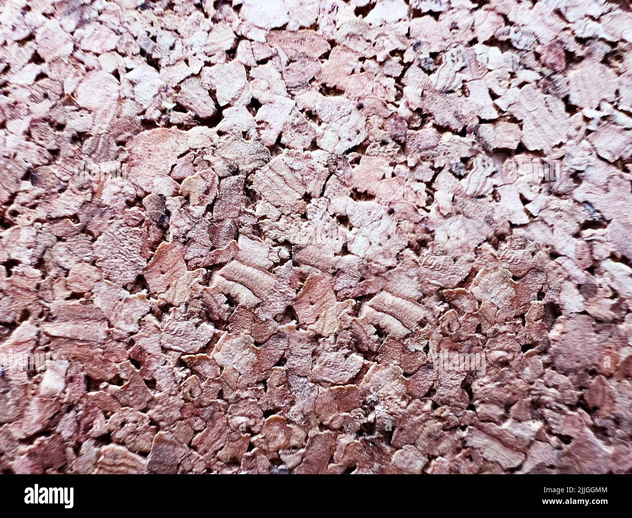 Cork wood extreme close-up macro pattern image Stock Photo