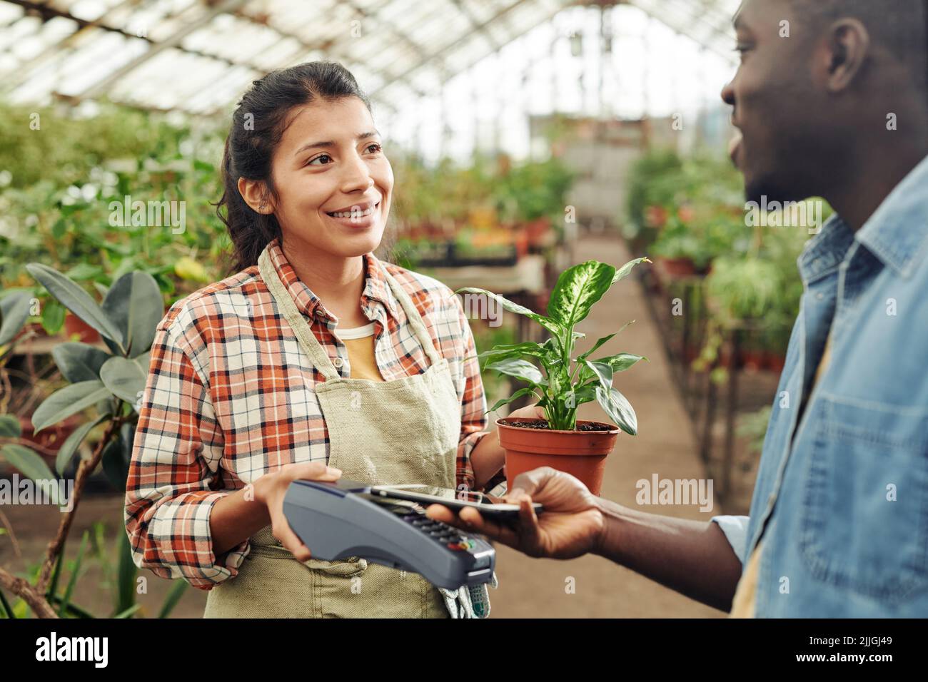 Young Black man buying plant in pot in modern greenhouse paying for it