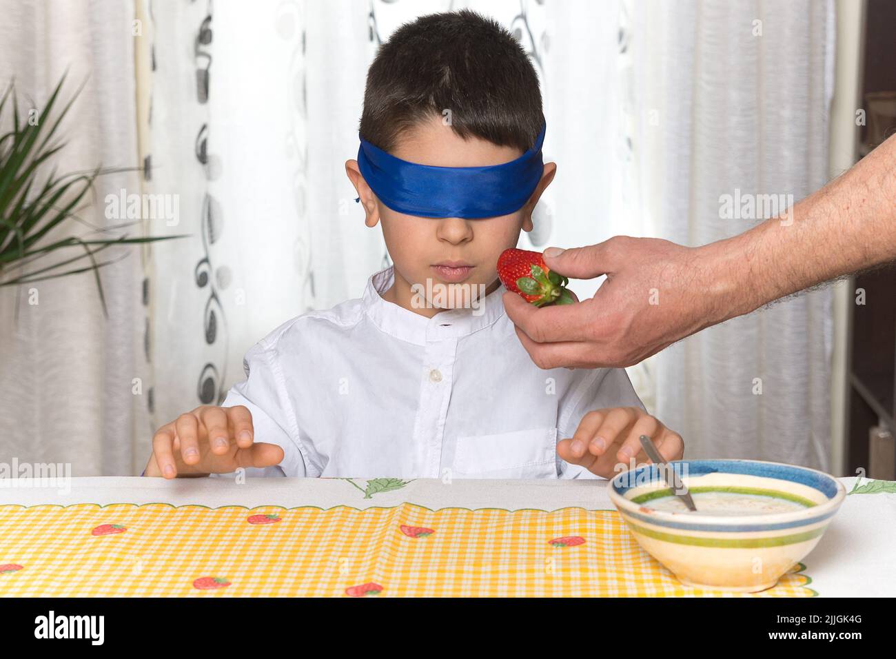 An 8-year-old Caucasian boy sitting at the table at home is blindfolded and has just tasted a strawberry offered by an adult's hand. Stock Photo