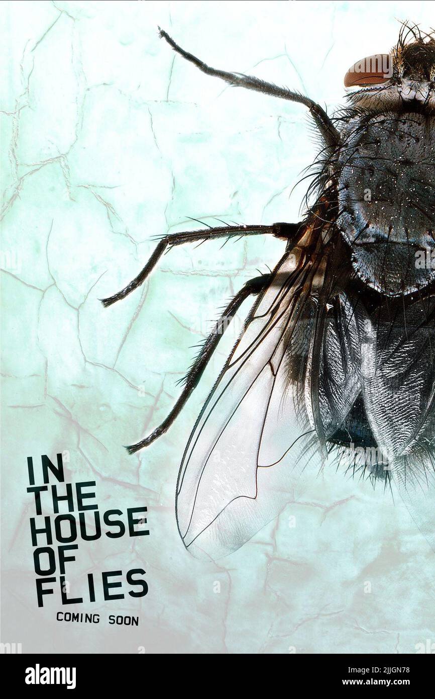 FLY POSTER, IN THE HOUSE OF FLIES, 2012 Stock Photo