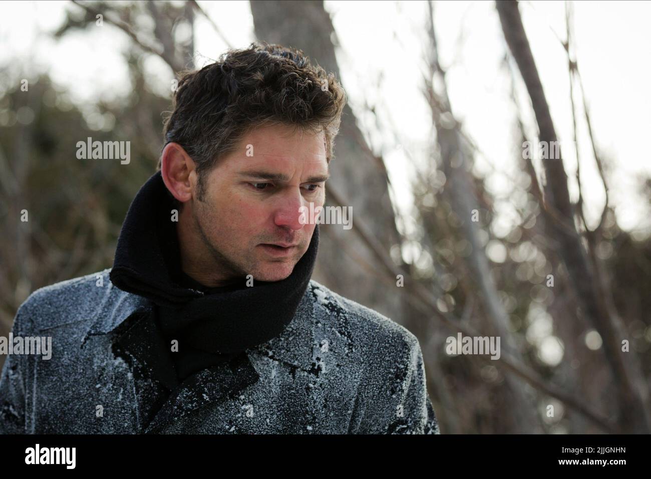 ERIC BANA, DEADFALL, 2012 Stock Photo