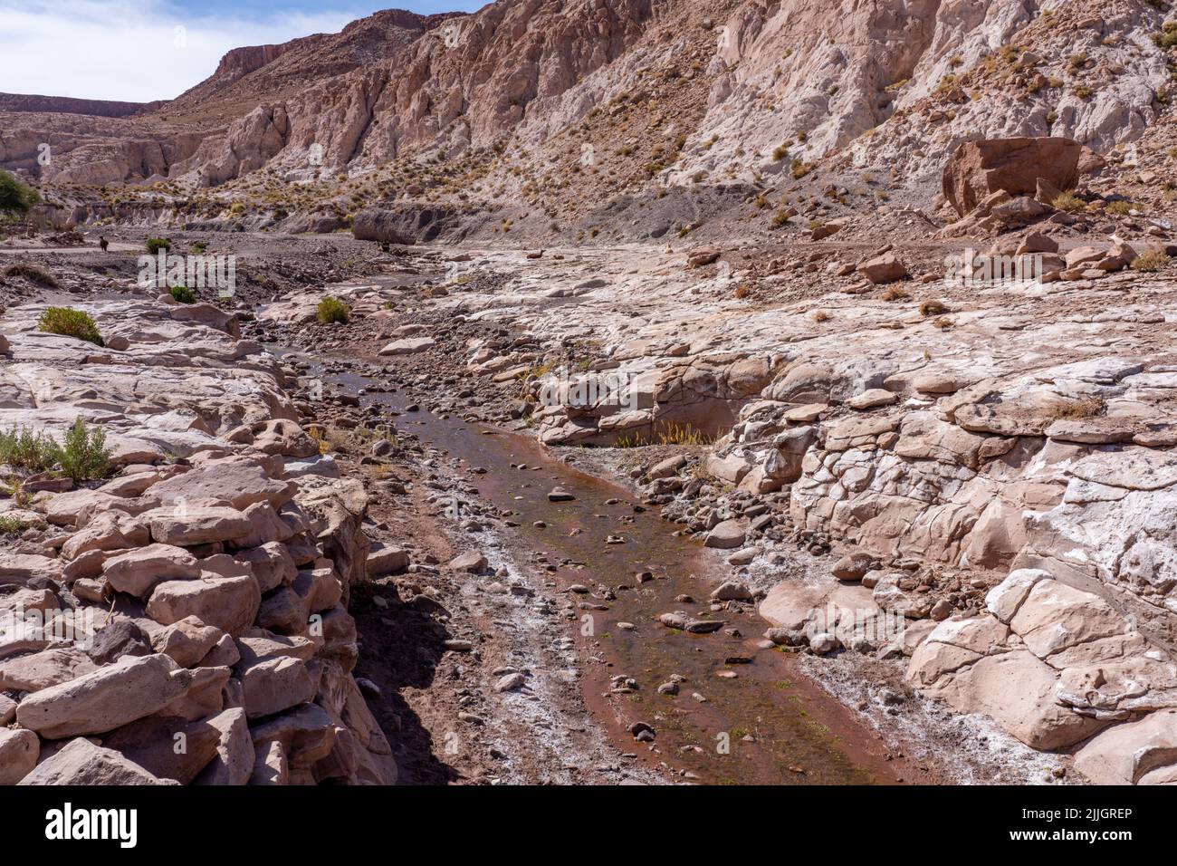 The Rio Salado in the Atacama Desert near Lican, Chile Stock Photo - Alamy