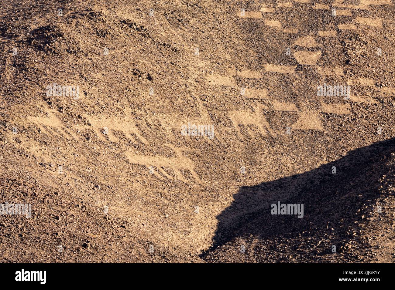 The Cerros Pintados Geoglyphs were made between 700 and 1500 A.D in the Atacama Desert of northern Chile.  They depict stylized figures of people, ani Stock Photo