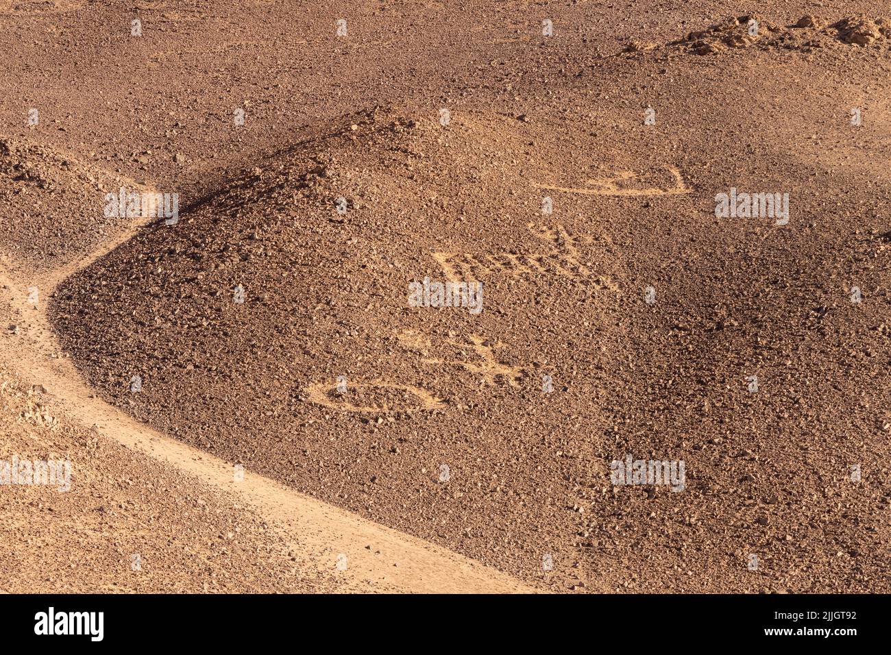 The Cerros Pintados Geoglyphs were made between 700 and 1500 A.D in the Atacama Desert of northern Chile.  They depict stylized figures of people, ani Stock Photo