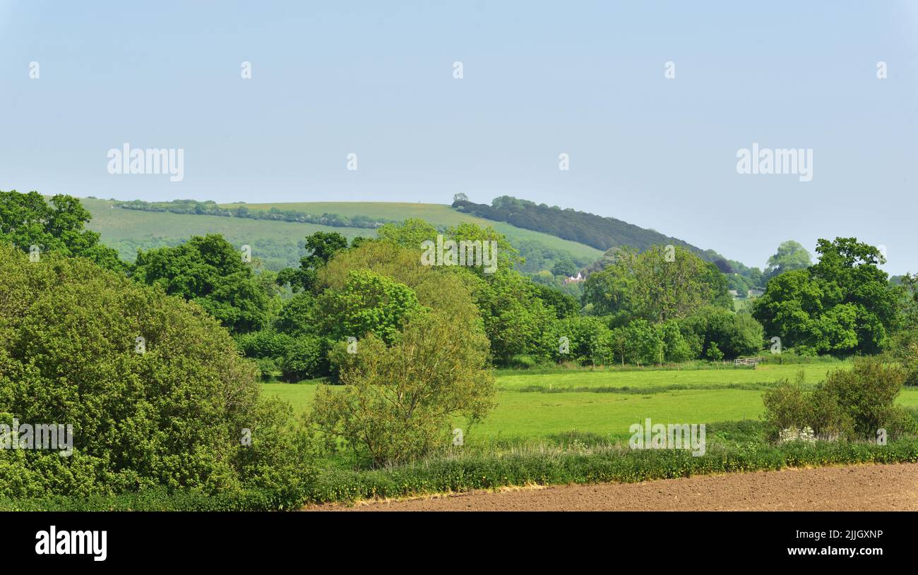 Hambledon Hill, near Blandford, Dorset, is a prehistoric hill fort in the Blackmore Vale. It is now owned by the National Trust. Stock Photo