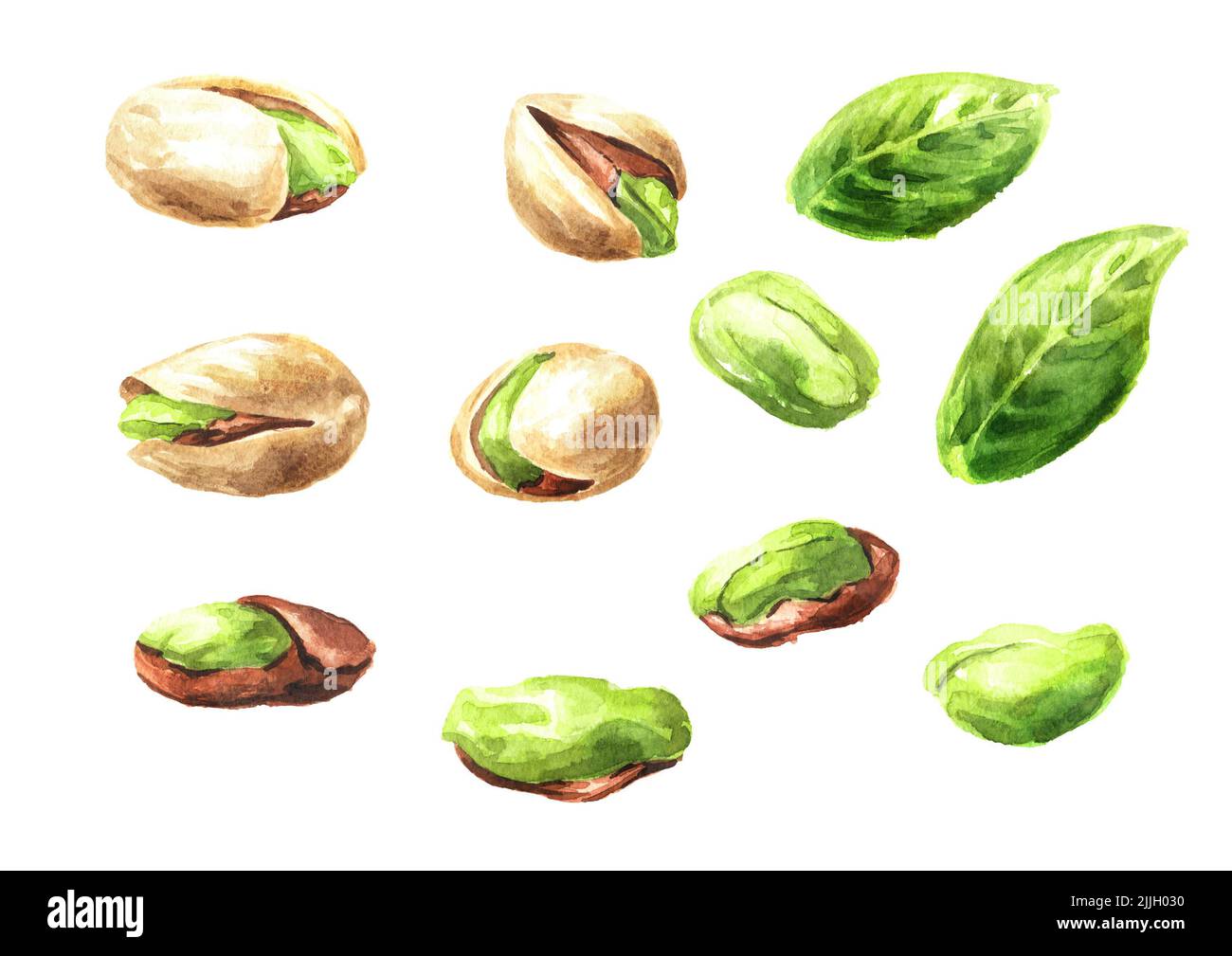 Pistachio nuts set. Watercolor hand drawn illustration isolated on