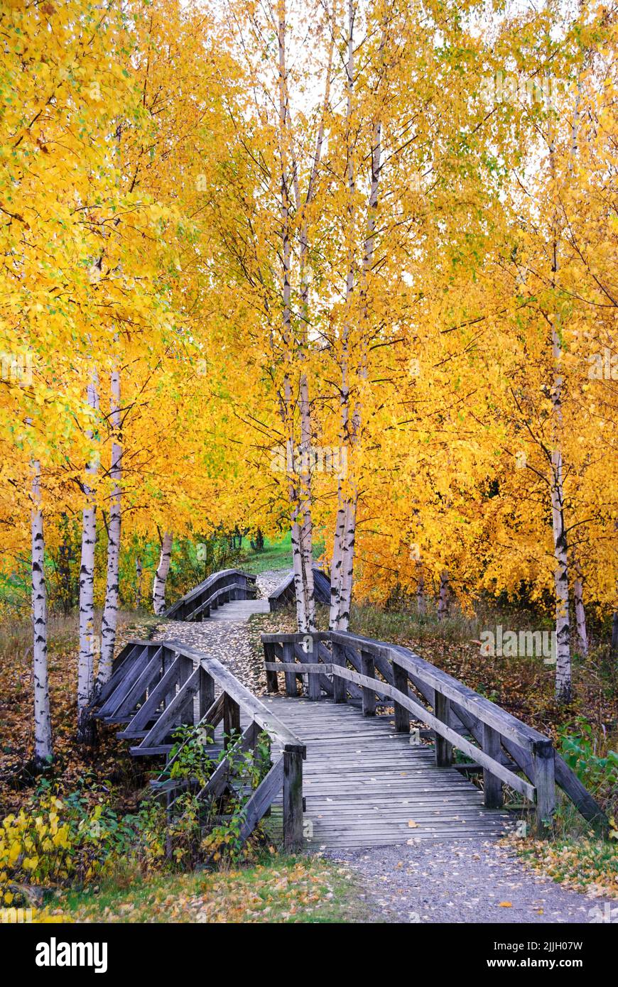 Wooden bridge in autumn landscape Stock Photo