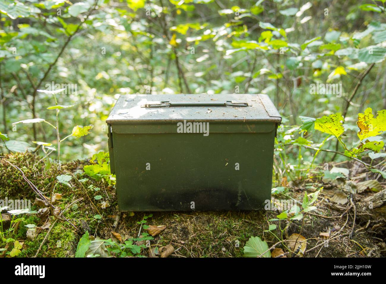 geocaching container in the woods Stock Photo